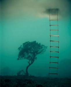 ladder